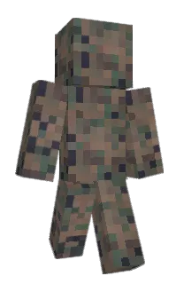 Front of Lightmoder's skin