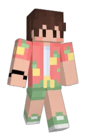 Skin preview