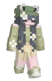 Skin preview