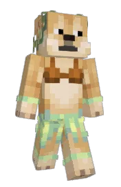 Skin preview