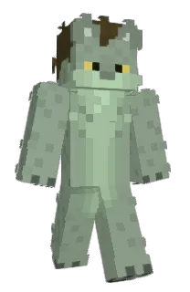 Front of Minecraft skin