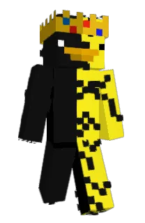 Front of MrPresiduck's skin