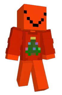 Front of S11one's skin