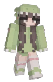 Skin preview