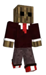 Minecraft skin — Classic model