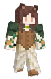 Skin preview