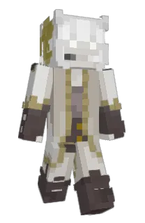 Front of v1taminzs's skin