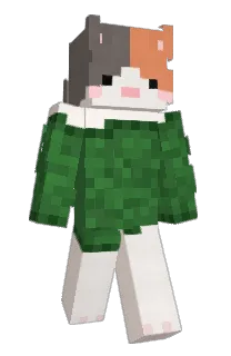 Front of GardenCats's skin