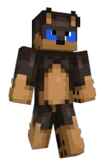Front of ayokid's skin