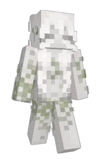 Front of KY25NGIE's skin