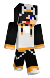 Skin preview