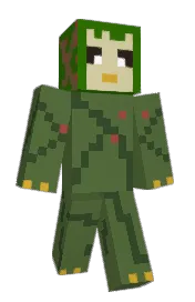 Skin preview