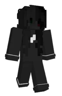 Front of NQRMAN's skin
