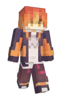 Front of zidisti's skin