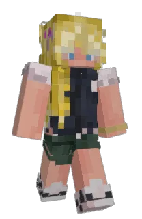 Front of AUPP's skin