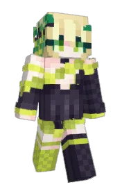 Skin preview