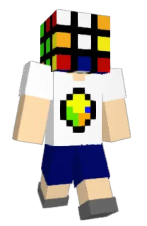 Front of Tenixity's skin