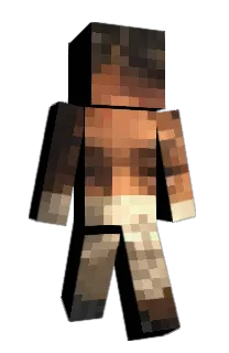 Front of Lumidiot's skin