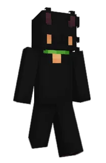 Front of sasheeemeee's skin