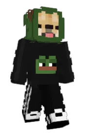 Skin preview