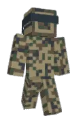 codeMan_0x0134
