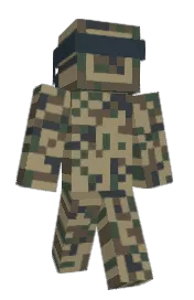 Skin preview