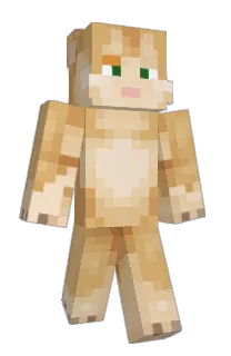 Front of Rkunn777's skin