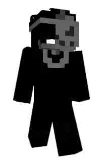 Front of mr_Walter_White_'s skin