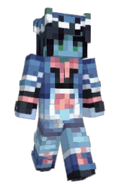 Skin preview