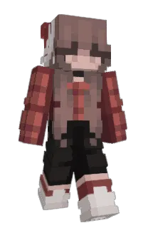 Front of aneeshq's skin