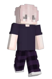 63L Minecraft avatar full body