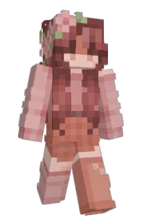 ToothlessHooHoo's Minecraft skin