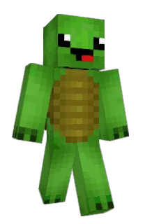 Front of fomeme's skin