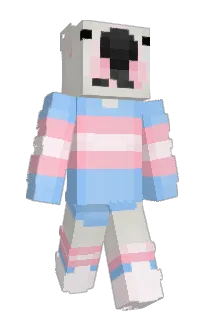 Front of Minecraft skin