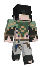 Skin preview