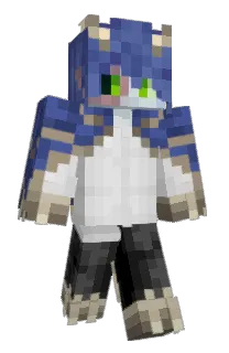 Front of Karsikko's skin