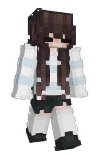 Front of sixfloe's skin
