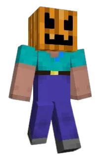 Front of XEMTORI's skin