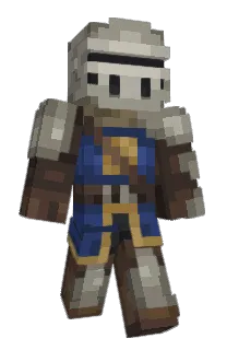 Front of CrankyBag's skin