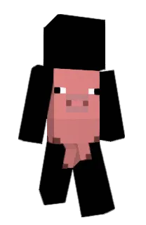 Front of xylopopo's skin