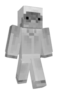 Front of Conetic's skin