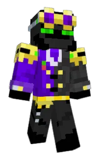 Front of ermall's skin