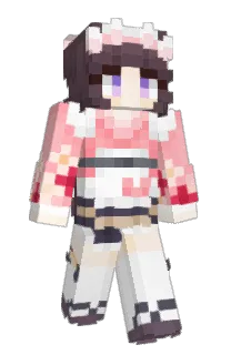 Front of Minecraft skin
