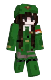 Skin preview