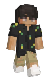 Visqn's Minecraft skin