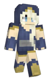 Skin preview