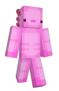 Front of tusaconfiable's skin