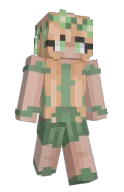 Skin preview