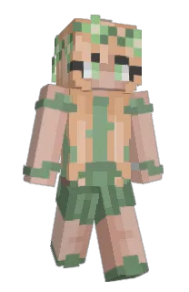 Front of Minecraft skin