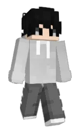 dove gray and cod gray Minecraft skin — Slim model